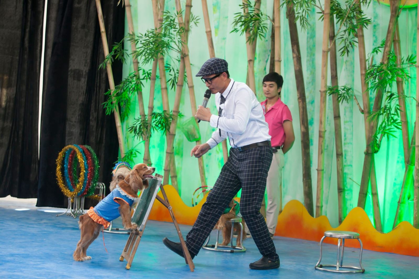 Ghé qua sân khấu Vở kịch muôn loài xem xiếc chó, xiếc hải cẩu tại khu Safari