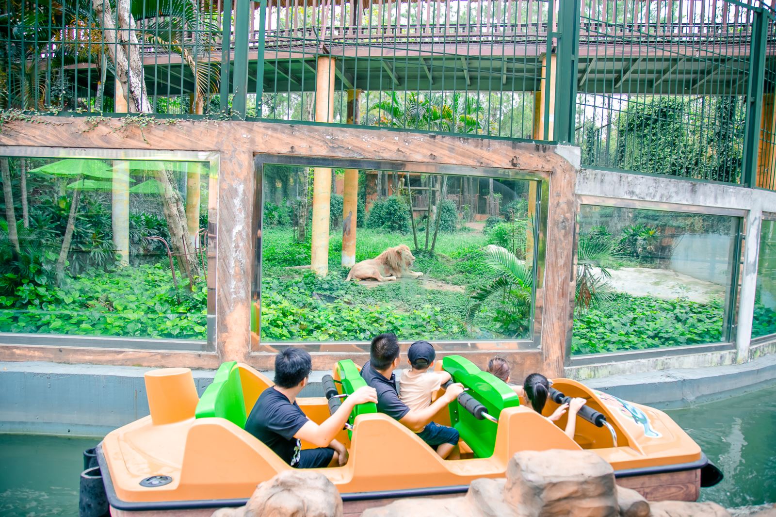 Safari kì thú - điểm đến không thể bỏ qua khi khám phá thế giới thu nhỏ tại Thiên đường Bảo Sơn